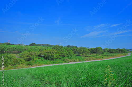 青空と緑に囲まれた江戸川の風景