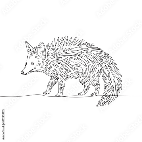 Continuous line of walking standing Bat-eared fox. Single one line art of wild Bat-eared fox, One continuous line illustration of an Bat-eared fox isolated on white background.