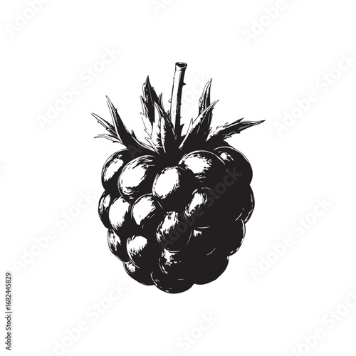 Blackberry Vector (2).eps