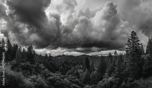 Panoramic view of a dark and stormy forest landscape