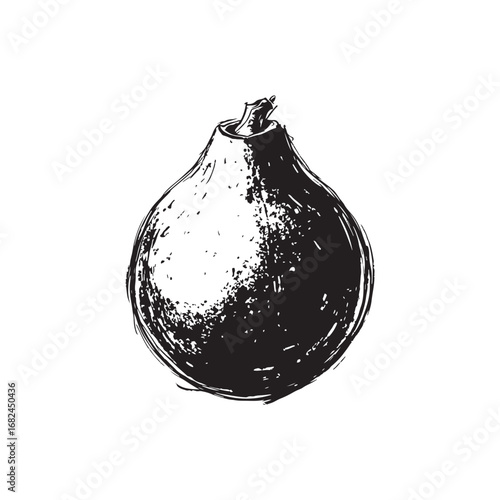 Passion Fruit Vector (4).eps