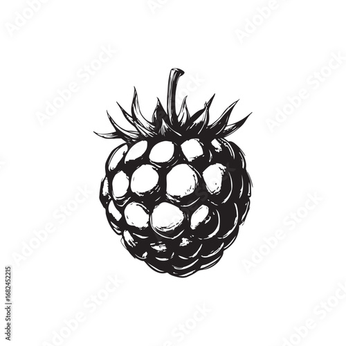 Raspberry Vector (1).eps