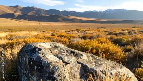 A large, gray rock sits in a field of golden grass with mountains in the background under a clear blue sky. Golden light touches all the elements