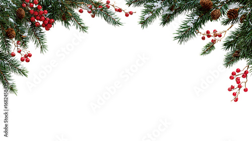 Festive Winter Christmas Evergreen Branches Decorated with Snow and Red Berries Isolated