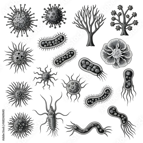 A diverse scientific set of black and white illustrations depicting various types of viruses, bacteria, and microscopic organisms