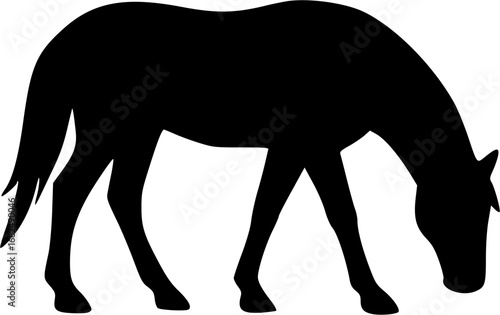 Horse Silhouette Vector | Equine Animal Outline | Wild Stallion Graphic Design