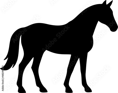 Horse Silhouette Vector | Equine Animal Outline | Wild Stallion Graphic Design