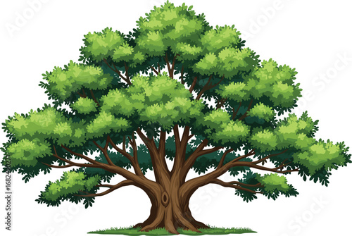 Large green tree with spreading branches and dense foliage, cartoon style, nature illustration, perfect for environment, forest, garden, and landscape design