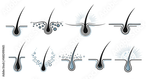 Healthy hair follicle icons showcase growth, strength, and vibrant shine for beauty and wellness brands.
