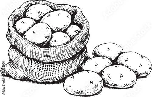 Rustic Sack of Potatoes Illustration