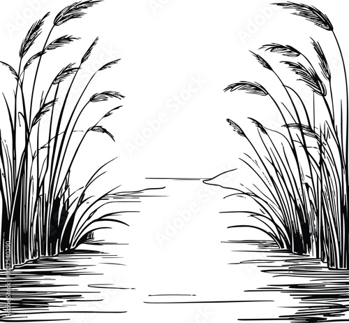 One continuous bold and clear black line drawing of a river flowing between two sides of tall kashful grass, minimal abstract summer landscape, no fill only stroke 2