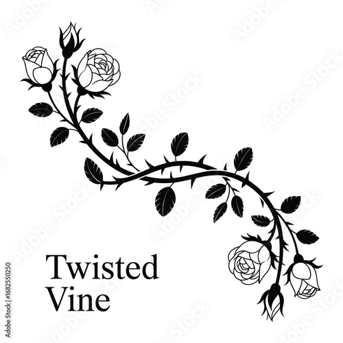 Elegant black and white illustration of a thorny rose vine with blooming flowers and leaves forming a decorative flourish