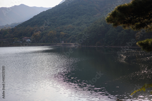 Light shines on a blue lake below a mountain full of trees.