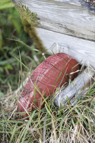 A red-painted piece of wood, trimmed in the shape of a wheel, sits on the grass.