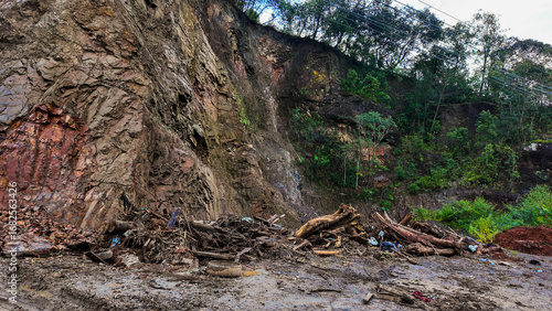 Foto A rocky cliff with landslide debris, fallen trees, and mud after heavy rain, showing the impact of natural disaster and erosion