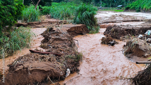Obraz na plátně Muddy Flash Flood Stream with Debris in Forest