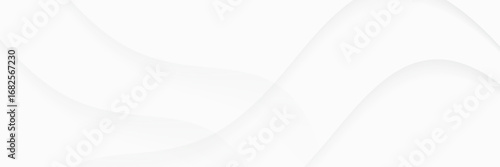 Gray line background curve element with white space for text and message design, suit for bussines,contens,