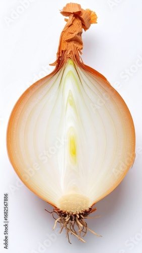 A halved onion reveals its layered structure, showcasing tan outer layers and white interior with a light yellow core, set against a bright white background