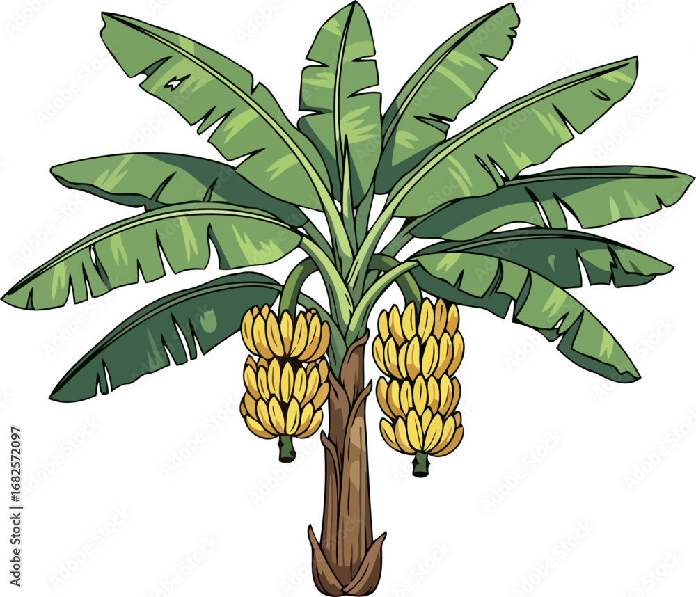 custom made wallpaper toronto digitalbanana tree illustration abundant harvest, tropical delight, lush green foliage, isolated on transparent background