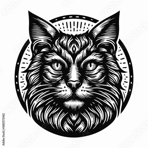 black cat on a white background