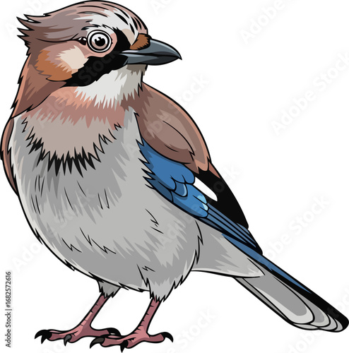 eurasian jays alert gaze a vivid portrait of wild intelligence and beauty, isolated on transparent background