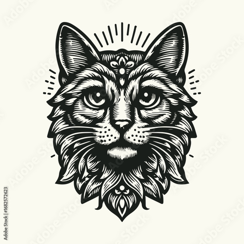 black cat on a white background