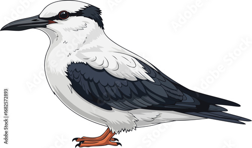 inca tern coastal elegance, a masterpiece of natures design, isolated on transparent background