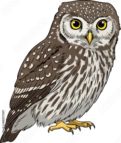 majestic little owl a captivating portrait, wildlife art, nocturnal hunter, isolated on transparent background
