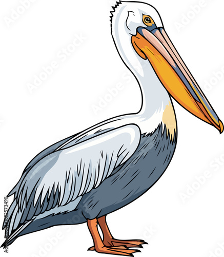 majestic pelican coastal bird, ocean majesty, wildlife illustration, isolated on transparent background