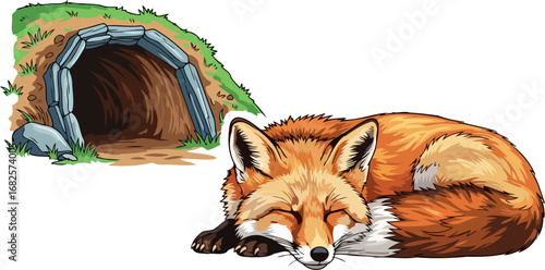 red foxs peaceful slumber a cozy den in the wild, isolated on transparent background