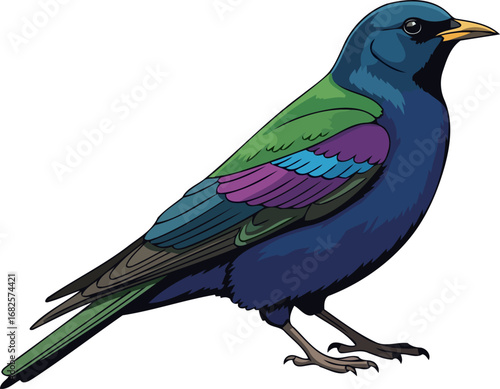vibrant rainbow bird a jeweltoned avian masterpiece in exquisite detail, isolated on transparent background