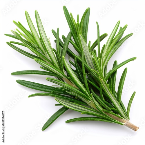 Fresh rosemary sprigs with narrow, needle-like green leaves arranged densely on woody stems, viewed from above against a plain white background
