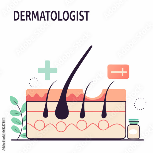 Dermatologist Concept – Dermatology Specialist, Face Skin and Acne Treatment, Beauty and Health Care, Skin Epidermis Scheme Cartoon Vector Illustration
