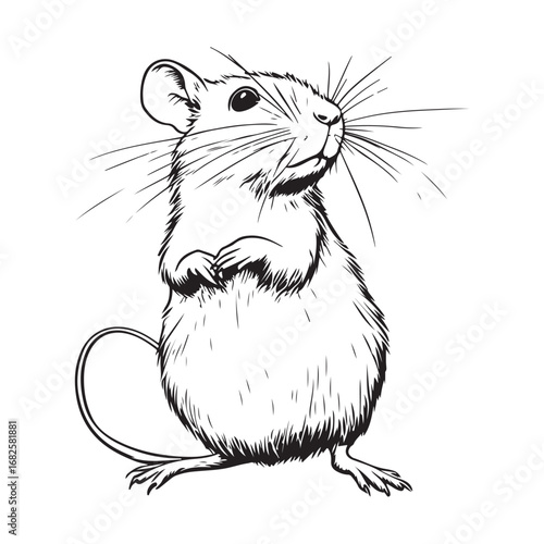 Mouse silhouette