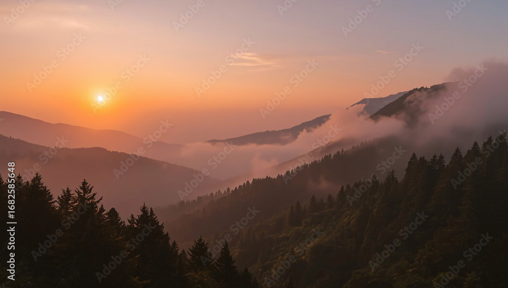 Obraz premium Golden Sunrise Over Misty Mountain Range with Rolling Fog and Pine Forests