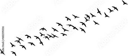 Birds flying in formation silhouette stock photo and vector art