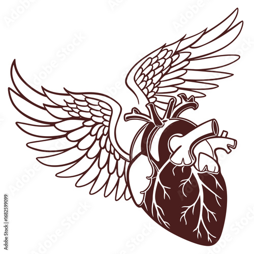 Vector illustration of a brown anatomical human heart with detailed feathered wings symbolizing love, freedom, and spirit