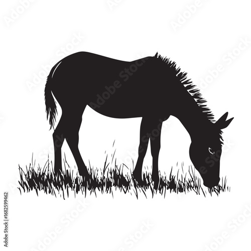 mule eat grass silhouette