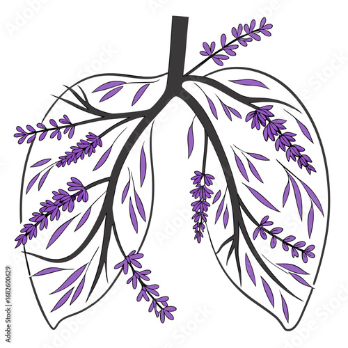 Illustration of lavender flowers blooming on leafy branches from a botanical viewpoint