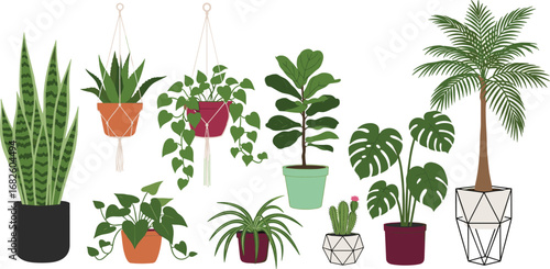 Indoor potted plants vector, houseplants illustration, tropical greenery design, decorative plant set, modern botanical art, home garden decor, hanging plants, cactus, palm tree, monstera leaves