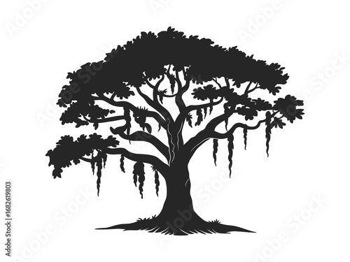Spanish Moss Draping from Live Oak Tree Silhouette – Vector Illustration on White Background