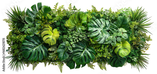 Lush green wall of tropical plants (1)