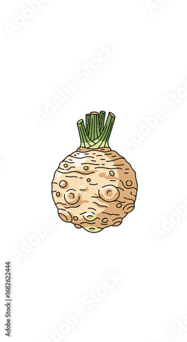 Healthy root vegetable celery root food ingredient for culinary dishes and kitchen preparation