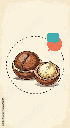 Discover the nutty goodness of macadamia nuts a delicious and nutritious treat for your health