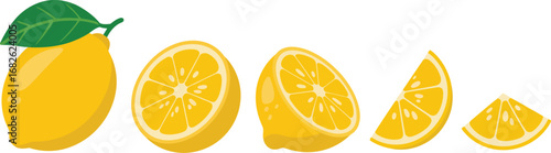 Fresh Lemons in Different Cuts Showing Juicy Sections and Vitamin C Richness Illustration for Healthy Living and Refreshing Drinks