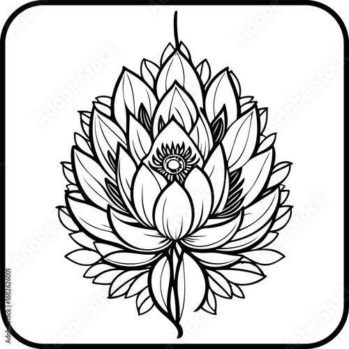 Detailed lotus blossom illustration showcases intricate patterns with black and white aesthetics