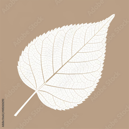 Detailed vector illustration of a single leaf's intricate vein system, isolated on a neutral light brown background, showcasing natural patterns
