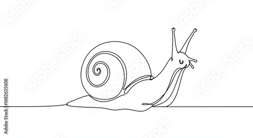 Cute snail drawing with simple lines