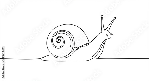 Simple snail illustration