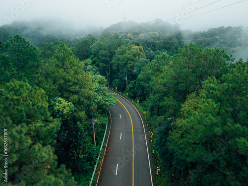 Aerial view of a road in the middle of a green forest in the rainy season. Environment and travel.